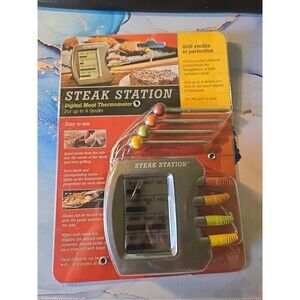 Digital Meat Thermometer NEW Steak Station Charcoal Companion For 4 Steaks Grill